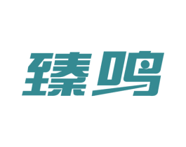 臻鸣 第10类医疗器械商标图样