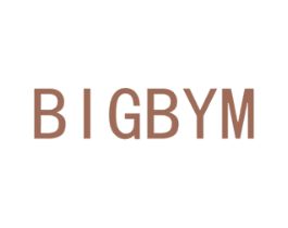 BIGBYM 第9类科学仪器商标图样