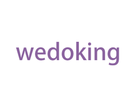 WEDOKING 第28类体育玩具商标图样