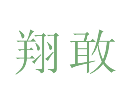 翔敢 第25类服装鞋帽商标图样