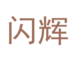 闪辉 第21类厨房洁具商标图样