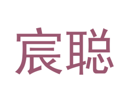 宸聪 第18类皮革箱包商标图样