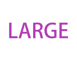 LARGE 第17类橡胶制品商标图样