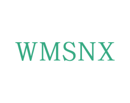 WMSNX 第9类科学仪器商标图样