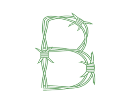 B 第25类服装鞋帽商标图样