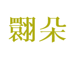 翾朵 第25类服装鞋帽商标图样