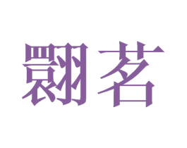 翾茗 第25类服装鞋帽商标图样