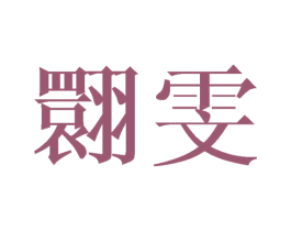 翾雯 第25类服装鞋帽商标图样