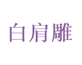 白肩雕 第25类服装鞋帽商标图样
