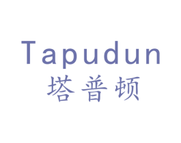 塔普顿 第11类家用电器商标图样