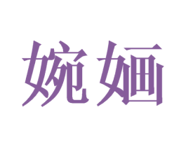 婉婳 第9类科学仪器商标图样