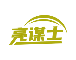 亮谋士 第11类家用电器商标图样