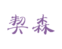 契森 第21类厨房洁具商标图样