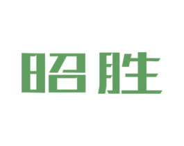 昭胜 第12类运输工具商标图样