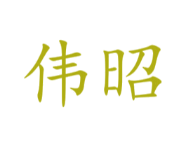 伟昭 第9类科学仪器商标图样