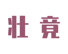 壮竟 第9类科学仪器商标图样