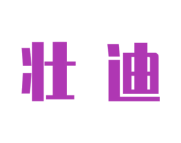 壮迪 第9类科学仪器商标图样