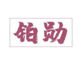 铂勋 第9类科学仪器商标图样