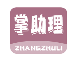 掌助理 第42类技术服务商标图样