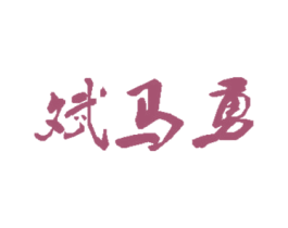 斌马勇 第12类运输工具商标图样