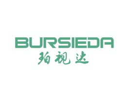 BURSIEDA 珀视达 第9类科学仪器商标图样