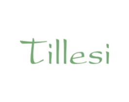 TILLESI 第3类化妆品商标图样