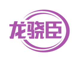 龙骁臣 第18类皮革箱包商标图样
