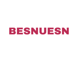 BESNUESN 第9类科学仪器商标图样