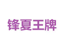 锋夏王牌 第9类科学仪器商标图样