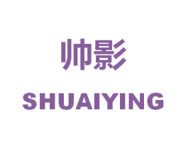 帅影 第9类科学仪器商标图样