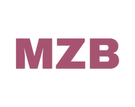 MZB 第9类科学仪器商标图样
