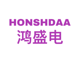 鸿盛电 HONSHDAA 第9类科学仪器商标图样