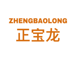 正宝龙 第9类科学仪器商标图样