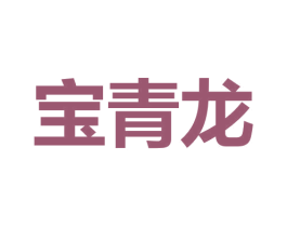 宝青龙 第9类科学仪器商标图样