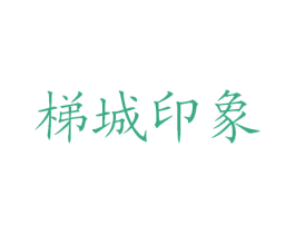 梯城印象 第35类广告贸易商标图样