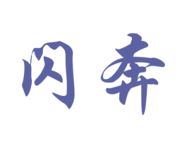 闪奔 第9类科学仪器商标图样