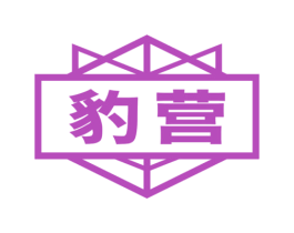 豹营 第5类医药商标图样