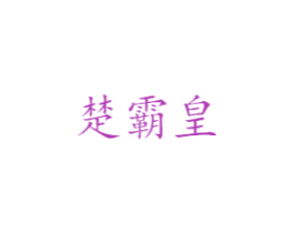 楚霸皇 第6类五金金属商标图样