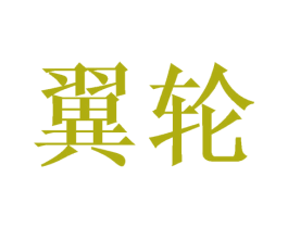 翼轮 第9类科学仪器商标图样