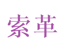 索革 第9类科学仪器商标图样