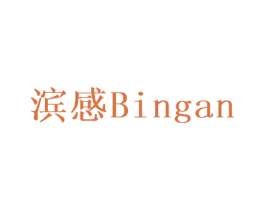 滨感 第10类医疗器械商标图样