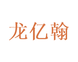 龙亿翰 第18类皮革箱包商标图样