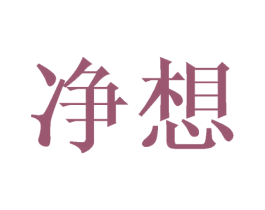 净想 第19类建筑材料商标图样