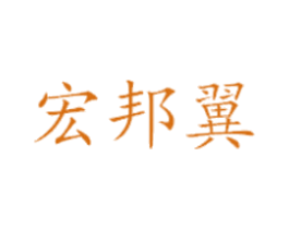 宏邦翼 第21类厨房洁具商标图样