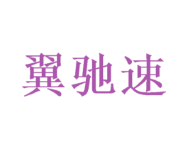 翼驰速 第9类科学仪器商标图样