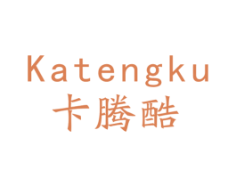 卡腾酷 第9类科学仪器商标图样