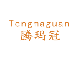 腾玛冠 第9类科学仪器商标图样