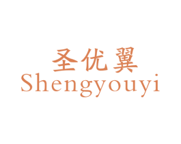 圣优翼 第9类科学仪器商标图样