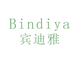 宾迪雅 第16类办公工具商标图样