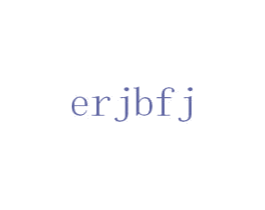 ERJBFJ 第25类服装鞋帽商标图样
